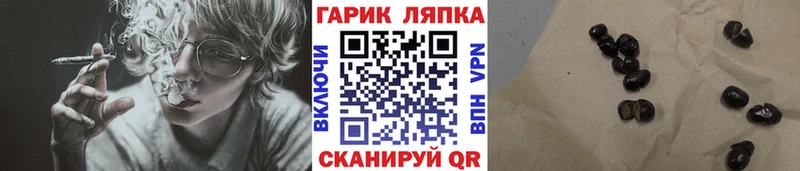 ГАШ Ice-O-Lator  Приозерск 