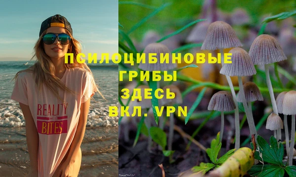 трава Касимов