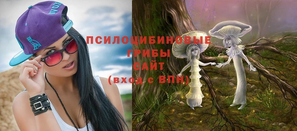 винт Армянск
