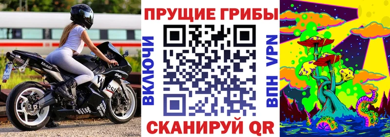 кракен маркетплейс  Приозерск  Галлюциногенные грибы ЛСД  наркотики 